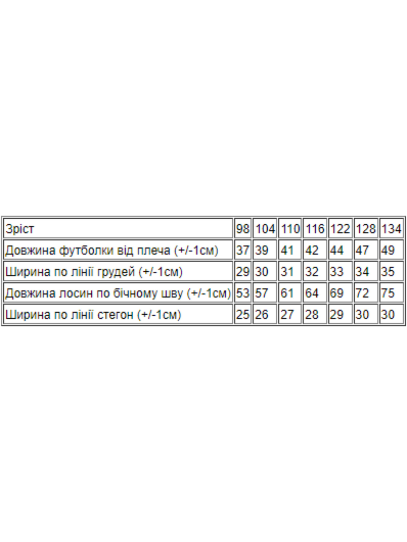 Повседневный костюм Носи своє модель 6194-036-33-mentol-nadpisi Фото