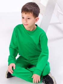 Спортивный костюм Носи своє модель 6063-057-4-1-zelenij Фото