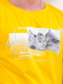 Футболка Носи своє модель 8012-001-33-3-grchicq-gori Футболка Носи своє модель 8012-001-33-3-grchicq-gori Фото