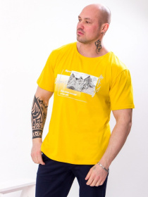 Футболка Носи своє модель 8012-001-33-3-grchicq-gori Футболка Носи своє модель 8012-001-33-3-grchicq-gori Фото