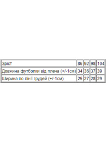 Футболка Носи своє модель 6021-2V-blakitnij-dno Фото