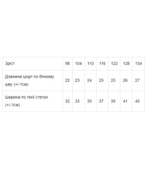 Повсякденні шорти Носи своє модель 6262-001-elektrik Фото