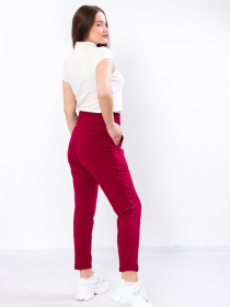 Брюки повседневные Носи своє модель 8323-057-bordovij Фото