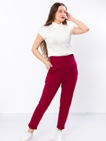 Брюки повседневные Носи своє модель 8323-057-bordovij Фото