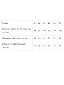 Спортивні штани Носи своє модель 8156-025-grchicq Фото