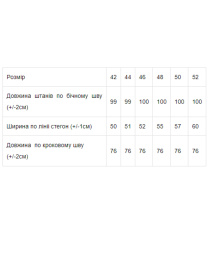 Штаны спортивные Носи своє модель 8156-025-chornilxno-sinj Штаны спортивные Носи своє модель 8156-025-chornilxno-sinj Фото