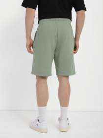 Шорты Роза модель 211203 Фото