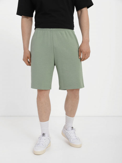 Повседневные шорты Роза модель 211203 Фото