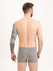 Труси ISSA Plus модель GN5-196_grey Фото