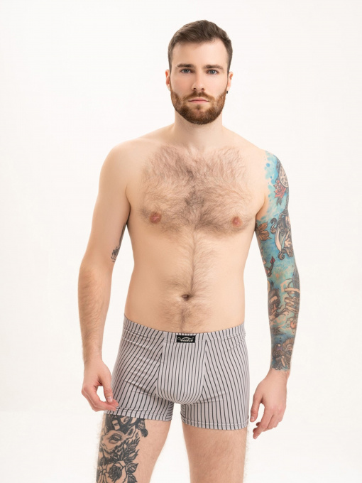 Труси ISSA Plus модель GN5-197_grey Фото