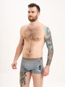 Трусы ISSA Plus модель GN5-199_grey Фото