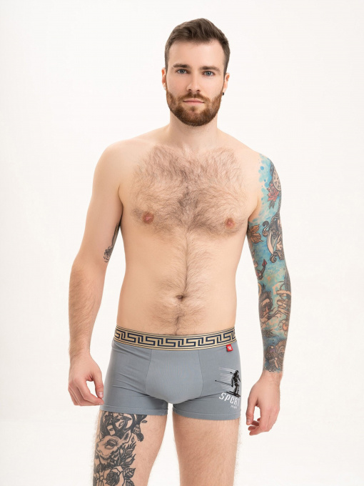 Трусы ISSA Plus модель GN5-199_grey Фото