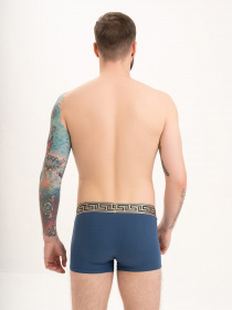 Трусы ISSA Plus модель GN5-199_blue Фото