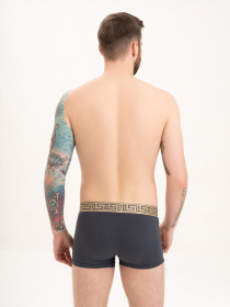 Трусы ISSA Plus модель GN5-199_darkgray Трусы ISSA Plus модель GN5-199_darkgray Фото