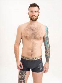 Трусы ISSA Plus модель GN5-199_darkgray Трусы ISSA Plus модель GN5-199_darkgray Фото