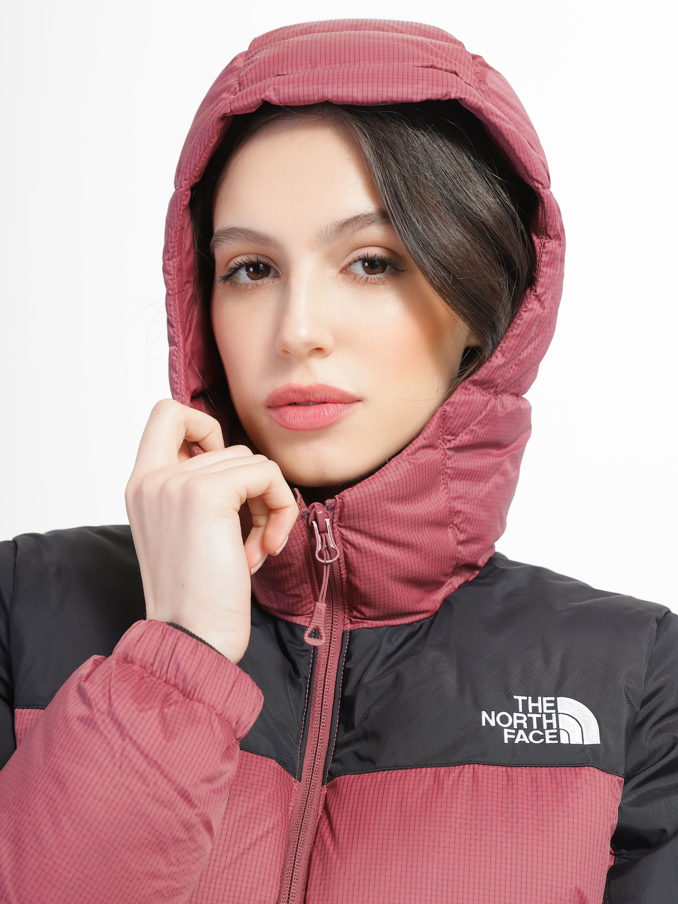 Куртки и дубленки The North Face модель NF0A55H486H1 Фото