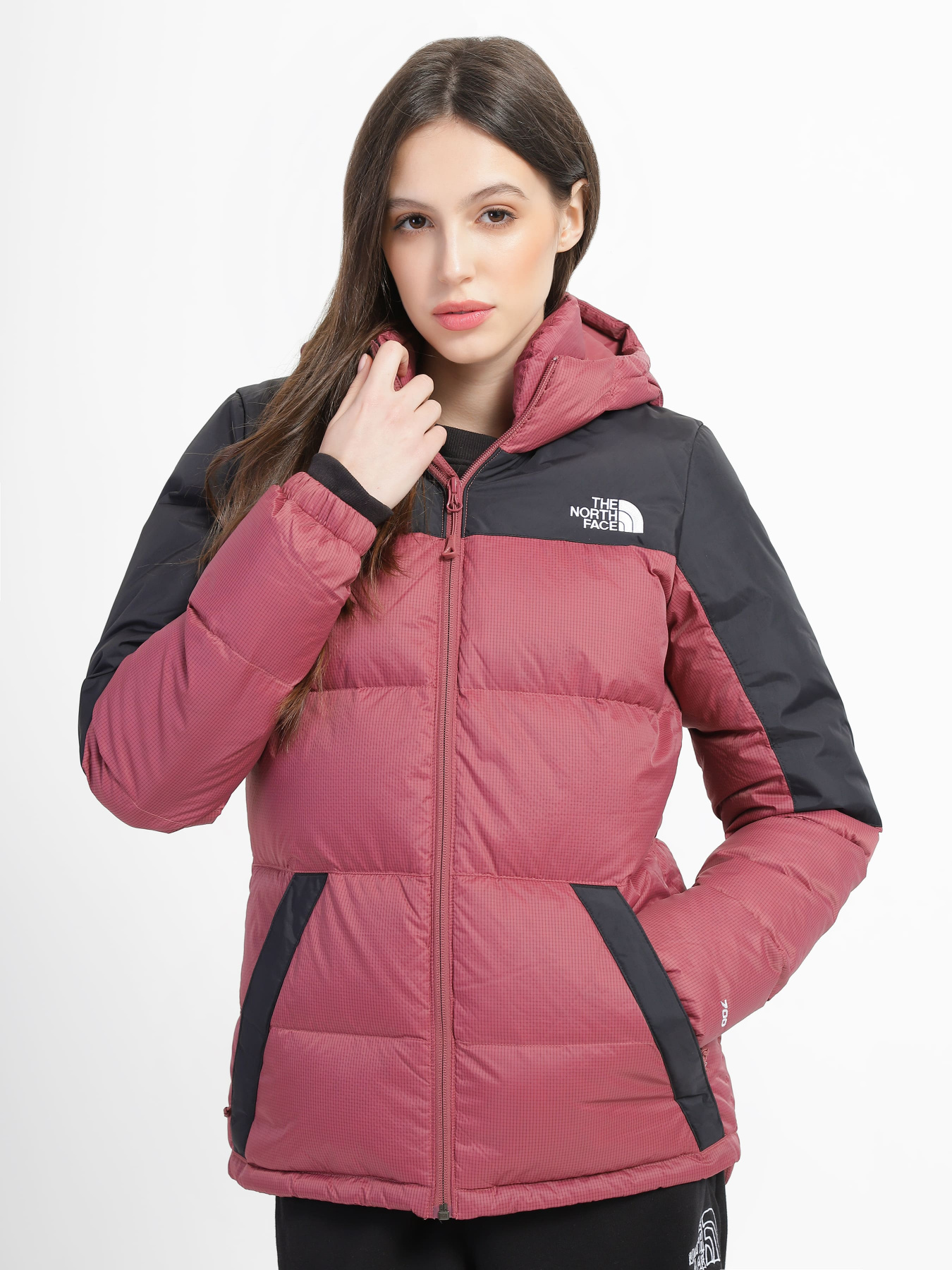 Куртки и дубленки The North Face модель NF0A55H486H1 Фото