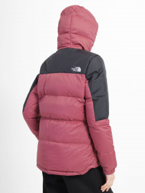Куртки и дубленки The North Face модель NF0A55H486H1 Фото