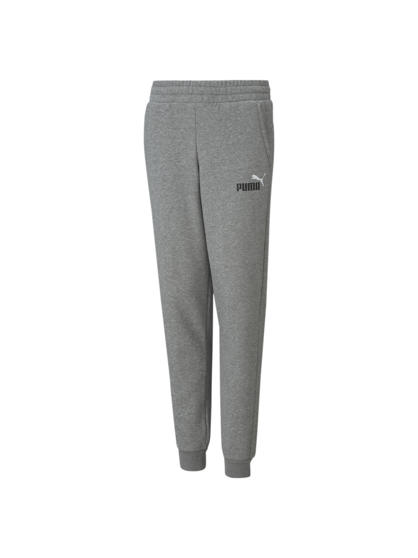 Штаны спортивные PUMA Ess+ 2 Col Logo Pants модель 586988 Фото