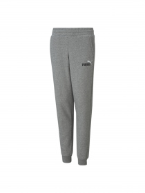 Штаны спортивные PUMA Ess+ 2 Col Logo Pants модель 586988 Фото