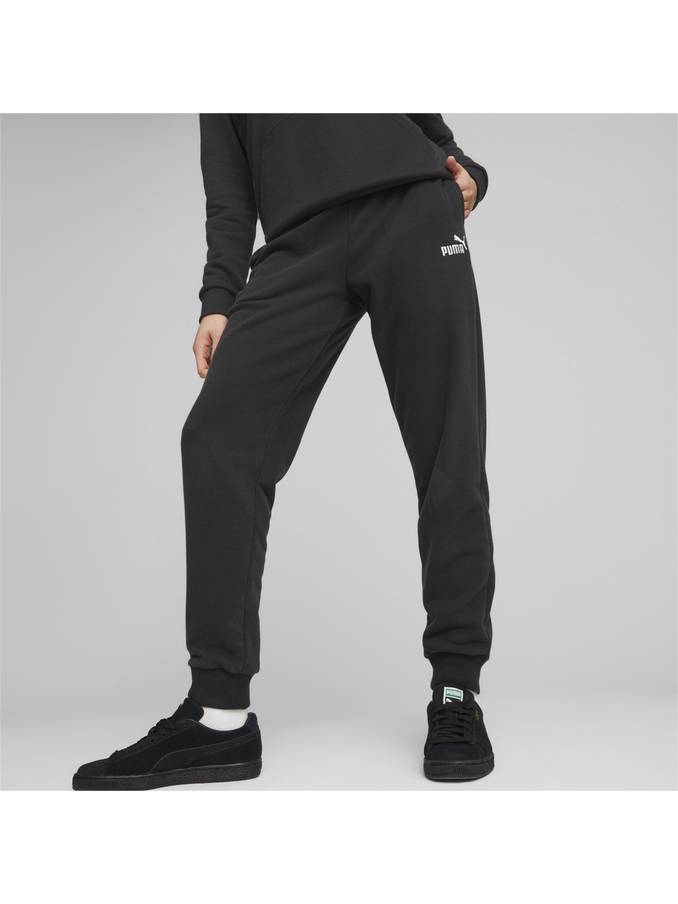 Штаны спортивные PUMA ESS Elevated Pants модель 673789 Фото
