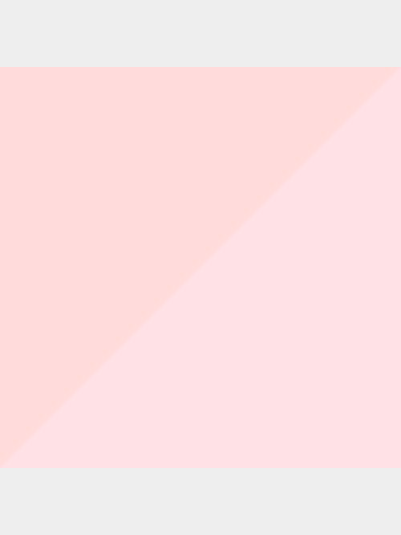 Набор носков PUMA Women Sock 2p модель 907957 Фото