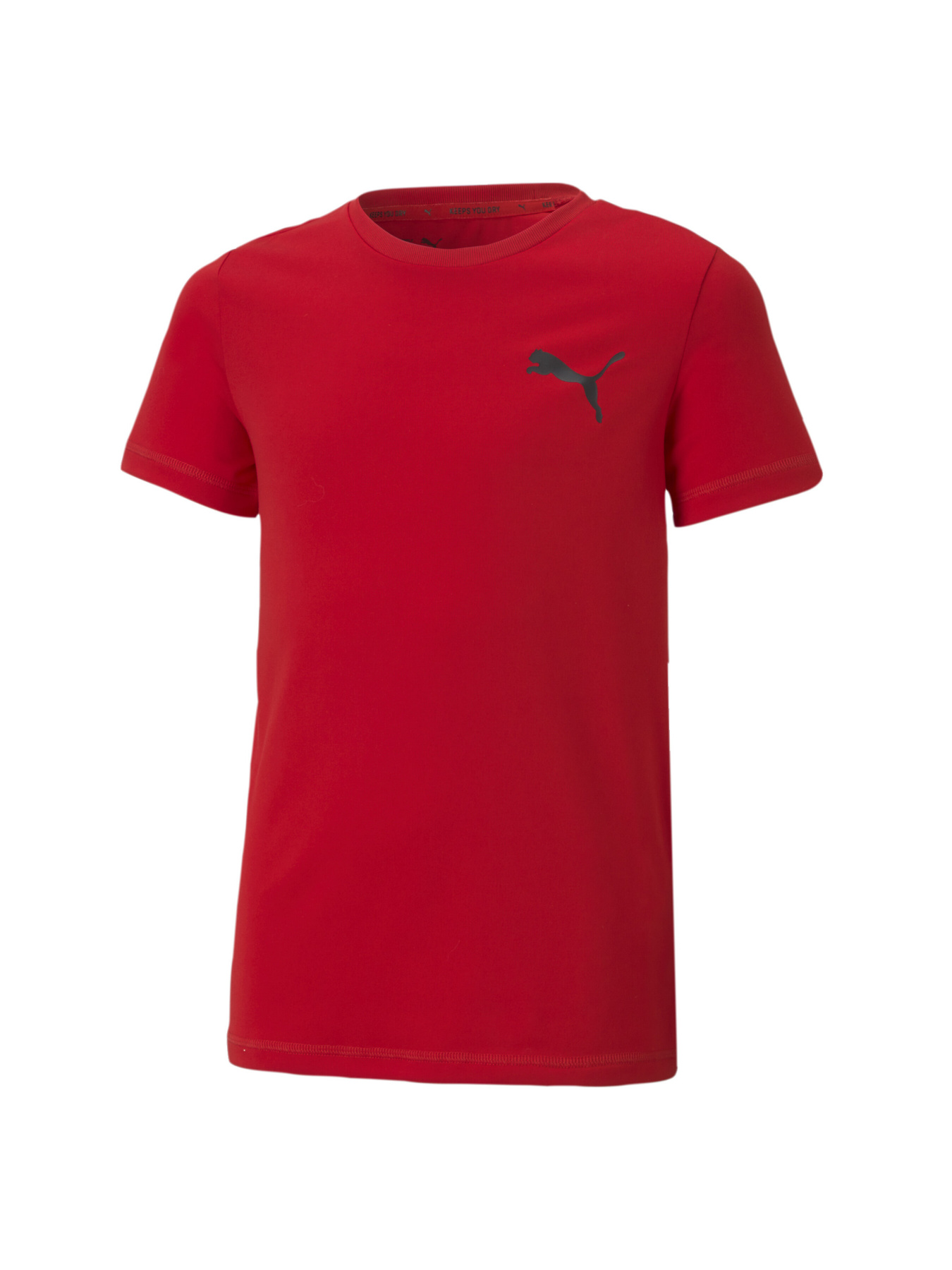 Футболка PUMA ACTIVE  Small Logo Tee модель 586980 Фото