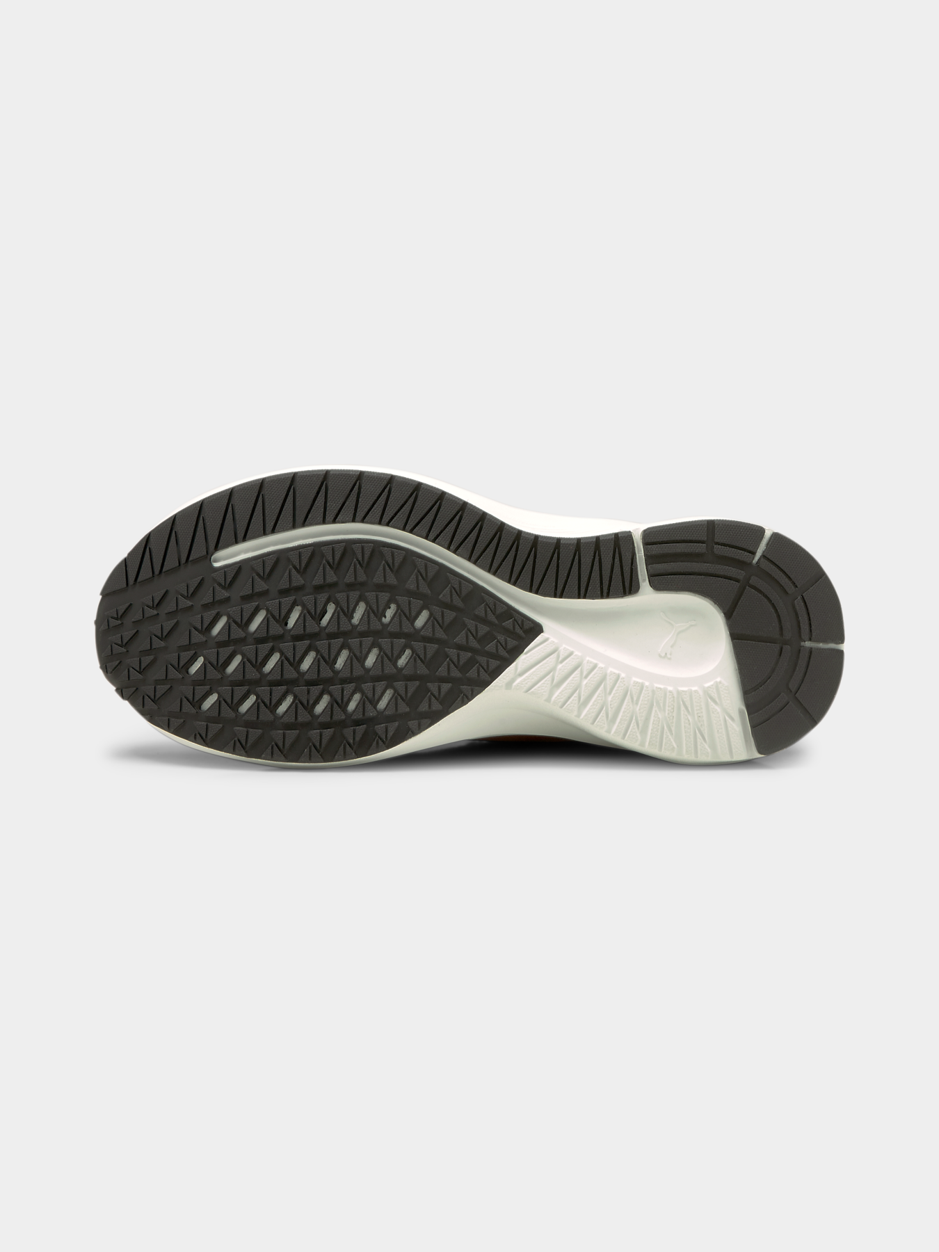 Кросівки PUMA Aviator Wtr модель 195506 Фото