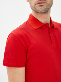 Поло Роза Модель 1406101_1 Фото