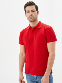 Поло Роза модель 1406101_1 Фото