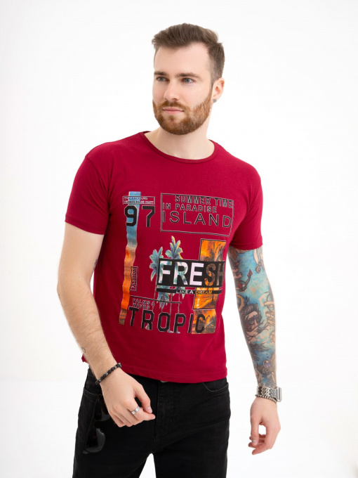 Футболка ISSA Plus модель GN4-126_burgundy Фото