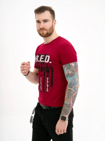 Футболка ISSA Plus модель GN4-127_burgundy Фото