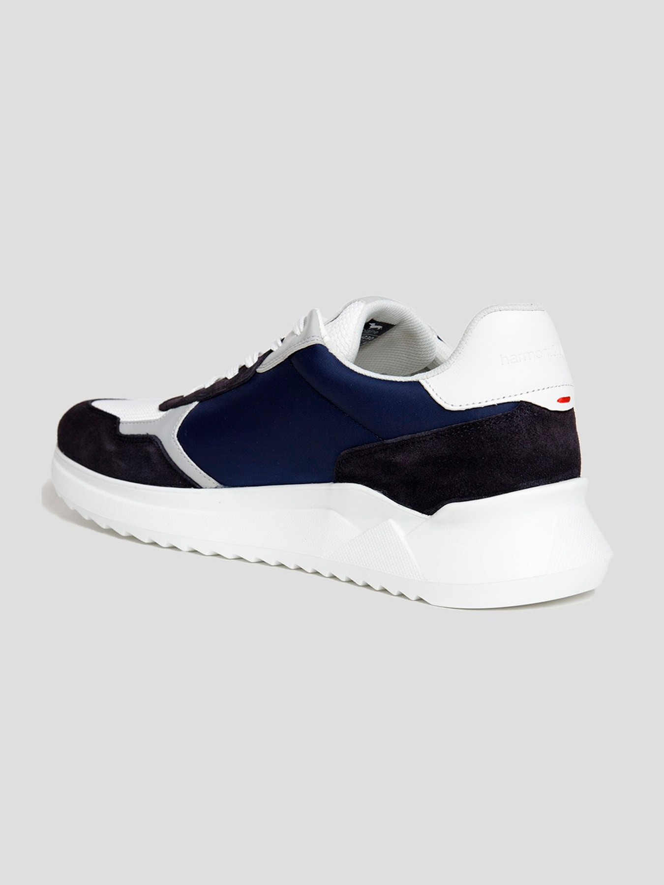 Кроссовки Harmont&Blaine модель EFM231.061.6230 Фото