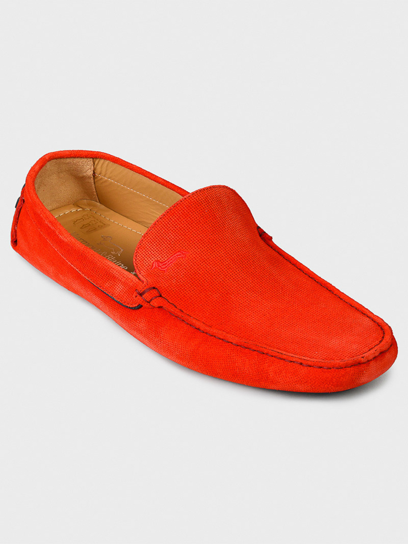 Мокасины Harmont&Blaine модель EFM201.210.5240 Фото