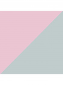 Набор носков PUMA Unisex Bwt Lifestyle Sn модель 907949 Фото