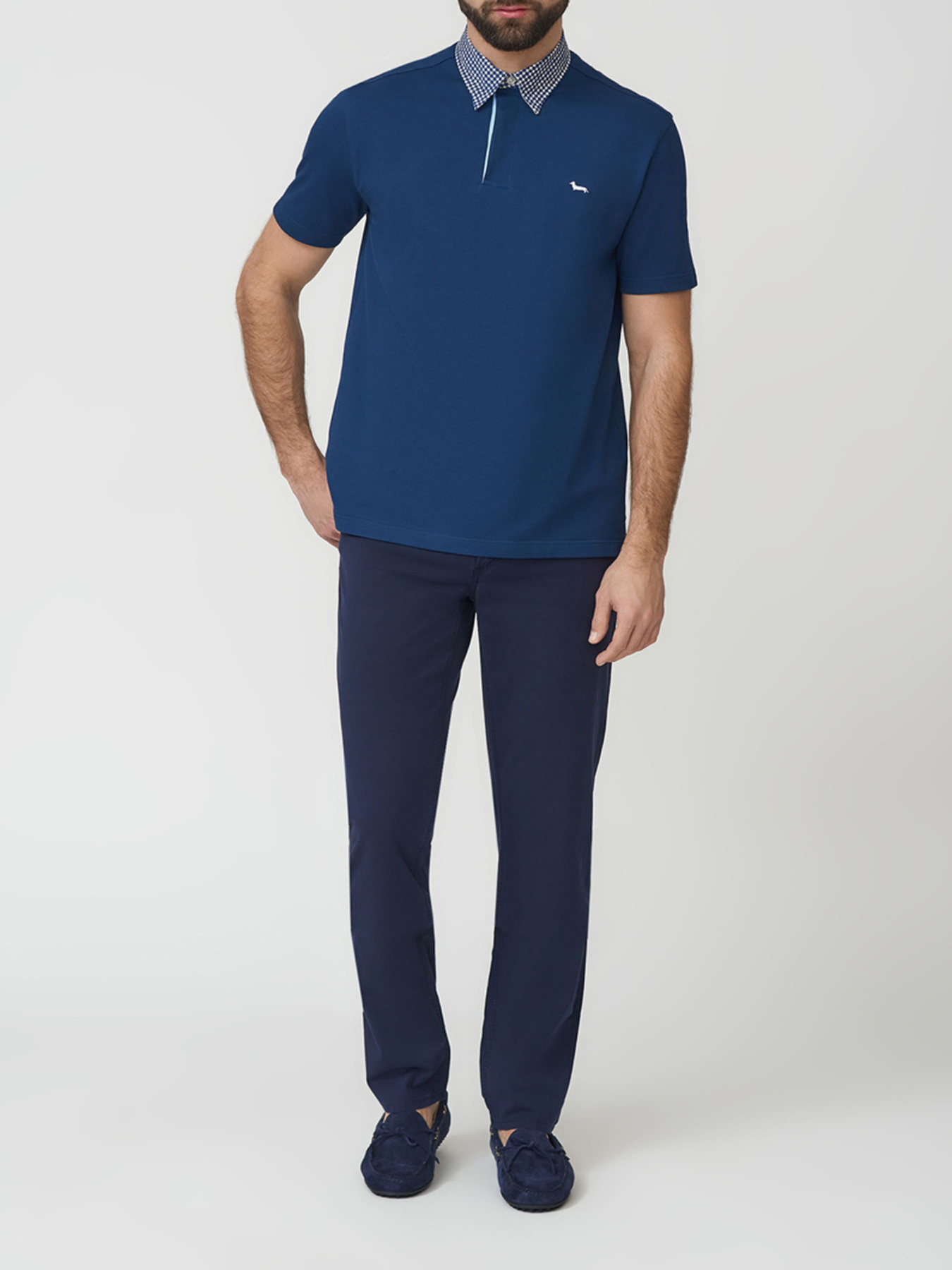 Поло Harmont&Blaine модель LRH003020004S01_808 Фото