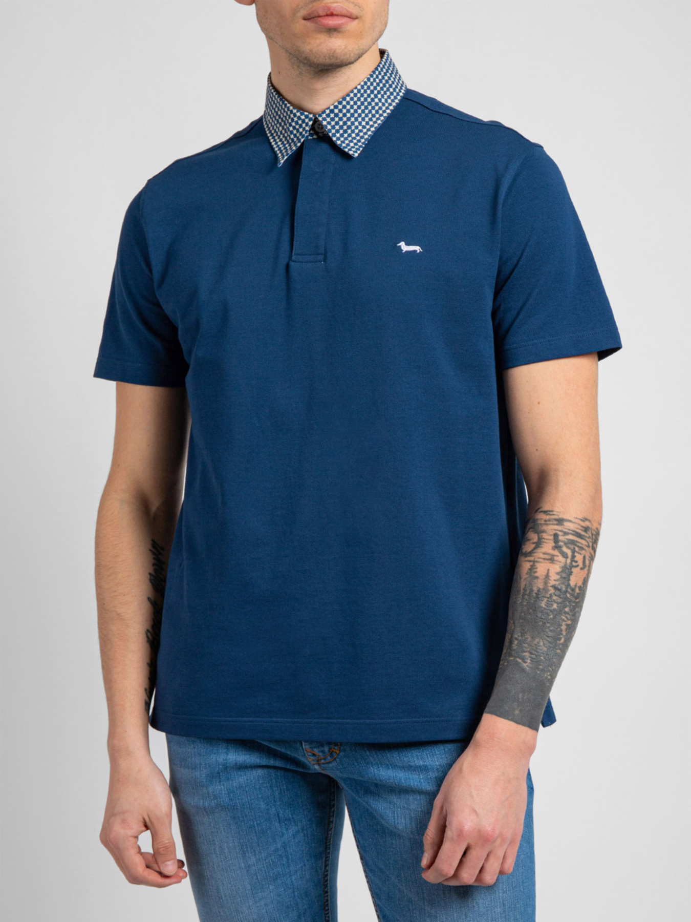 Поло Harmont&Blaine модель LRH003020004S01_808 Фото