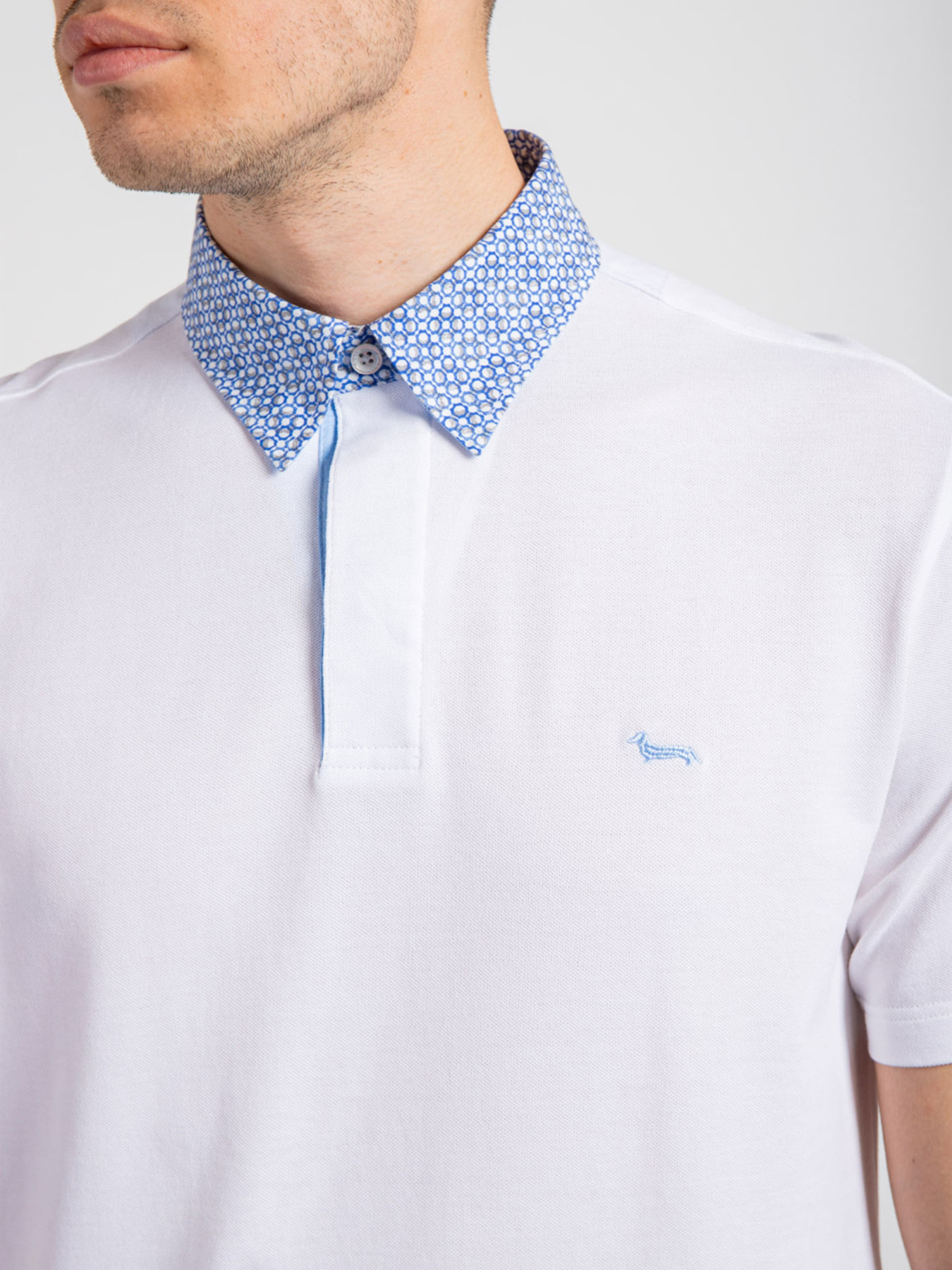 Поло Harmont&Blaine модель LRH003020004S20_100 Фото