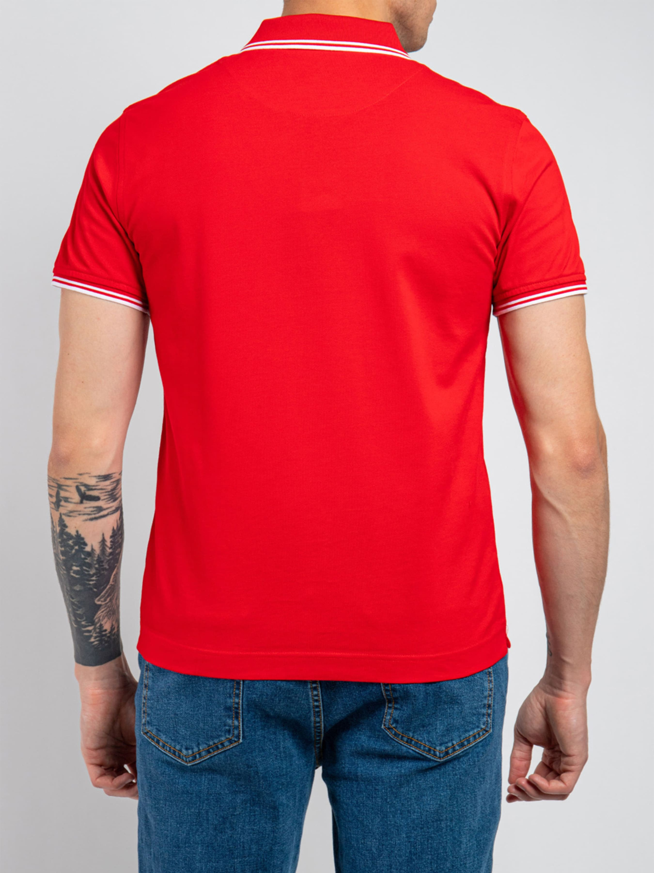 Поло Harmont&Blaine модель LNH010021148_534 Поло Harmont&Blaine модель LNH010021148_534 Фото