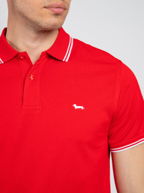 Поло Harmont&Blaine модель LNH010021148_534 Поло Harmont&Blaine модель LNH010021148_534 Фото