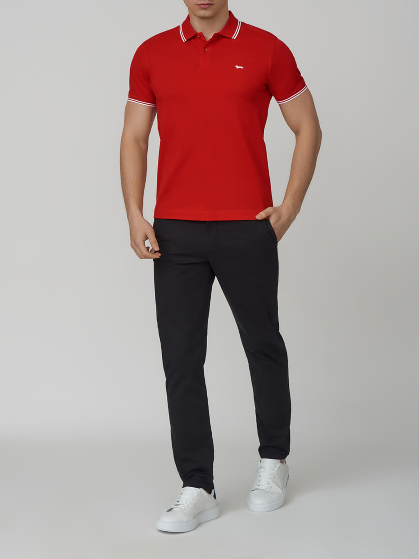 Поло Harmont&Blaine модель LNH010021148_534 Фото