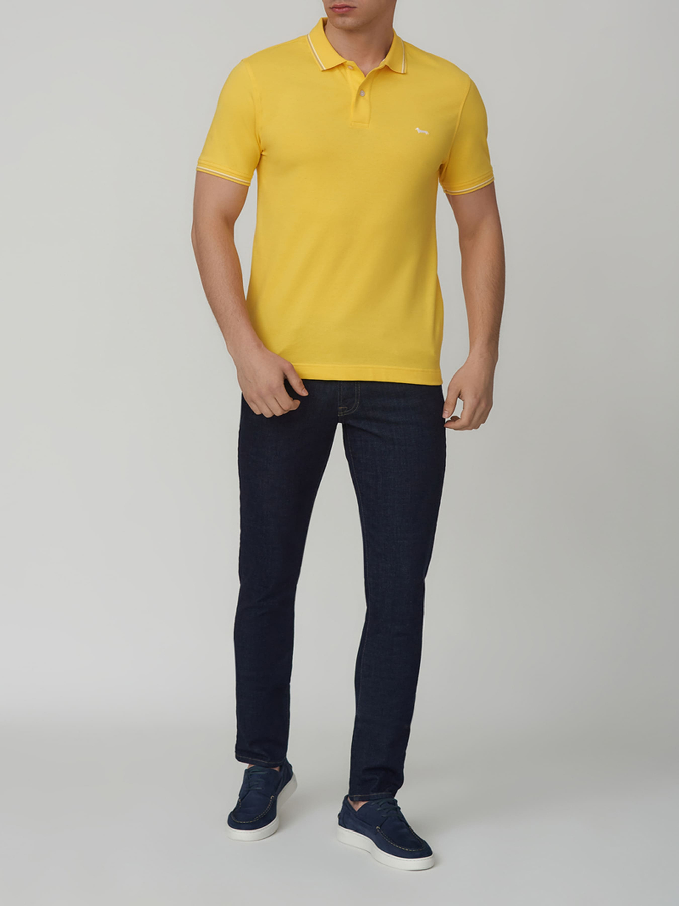 Поло Harmont&Blaine модель LNH032020862_311 Фото