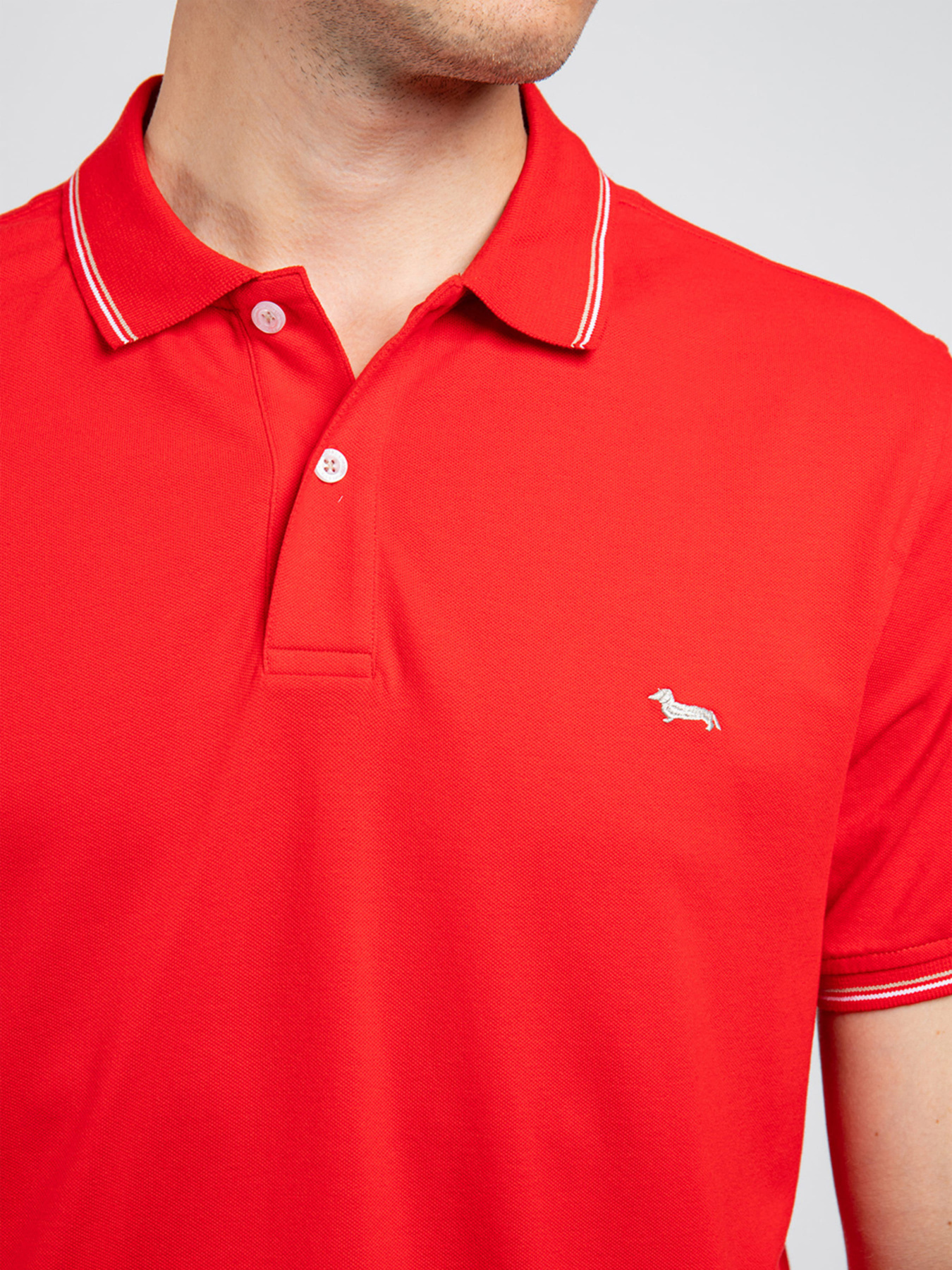 Поло Harmont&Blaine модель LNH032020862_534 Фото