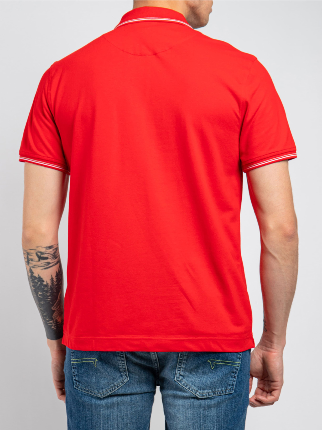 Поло Harmont&Blaine модель LNH032020862_534 Фото