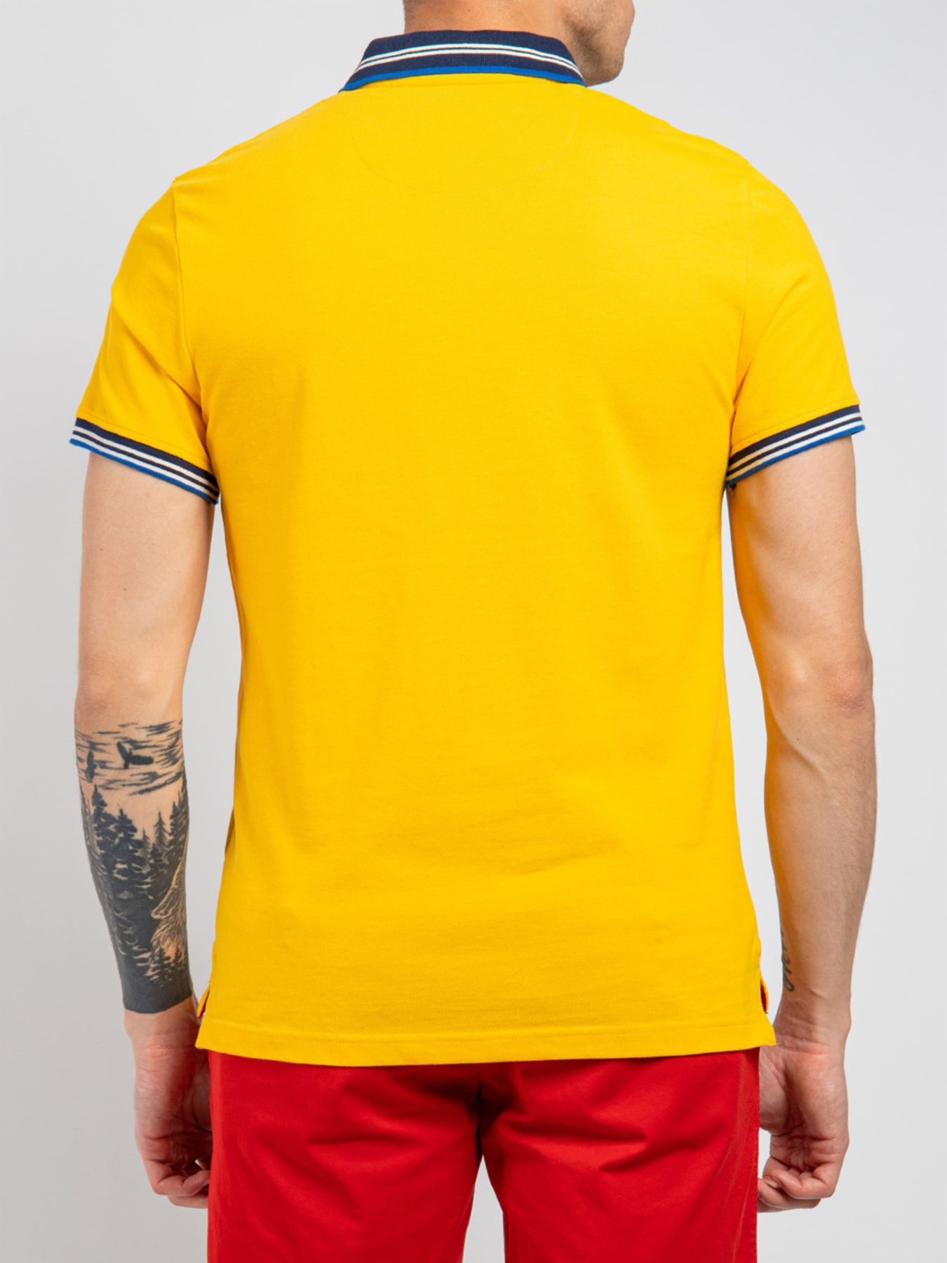 Поло Fred Mello модель FM22S23QU_1298 Поло Fred Mello модель FM22S23QU_1298 Фото