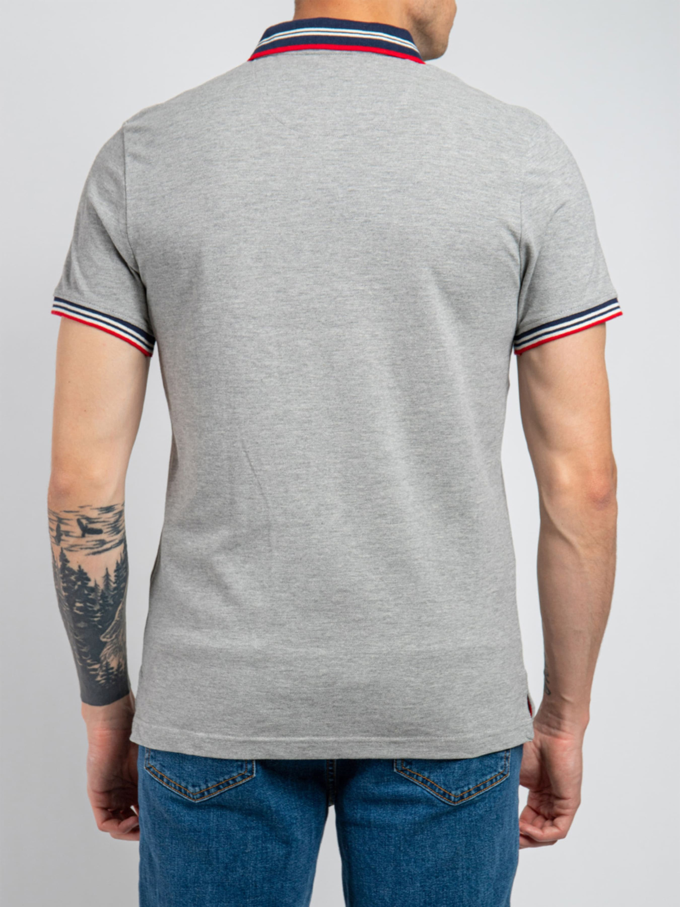 Поло Fred Mello модель FM22S23QU_1340 Фото