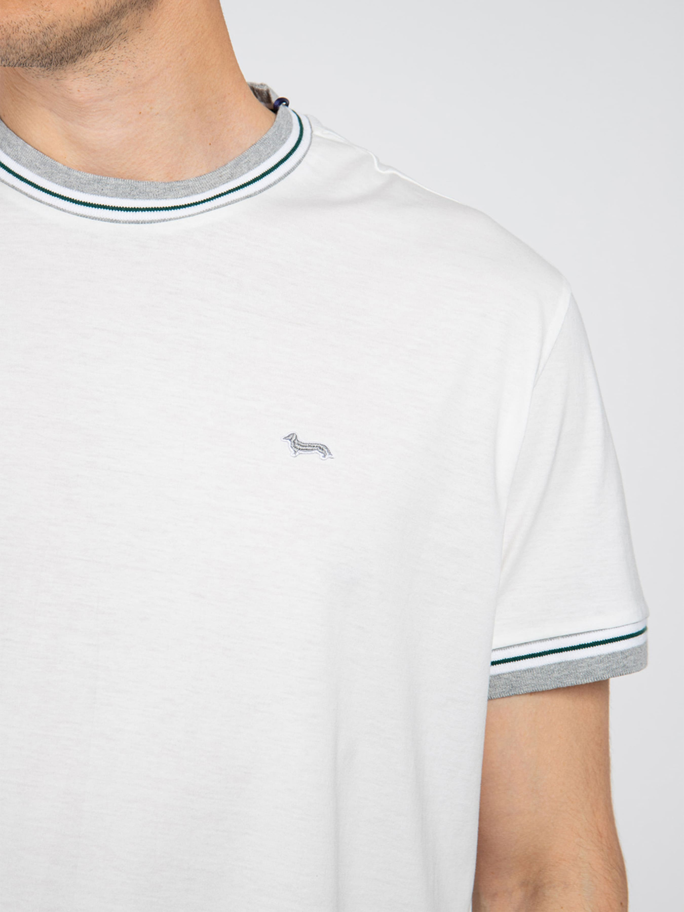 Футболка Harmont&Blaine модель IRH161021152_106 Фото