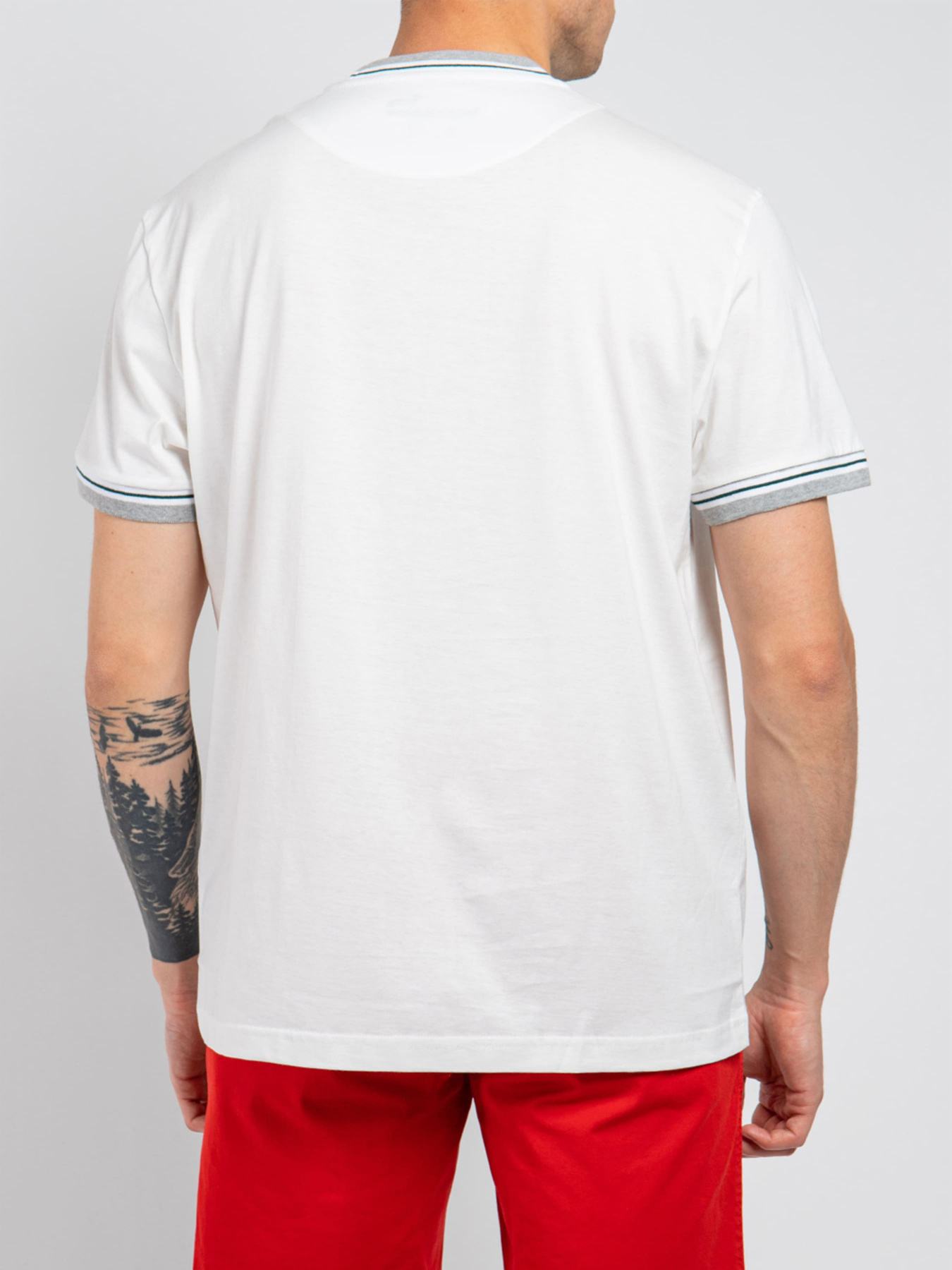 Футболка Harmont&Blaine модель IRH161021152_106 Фото