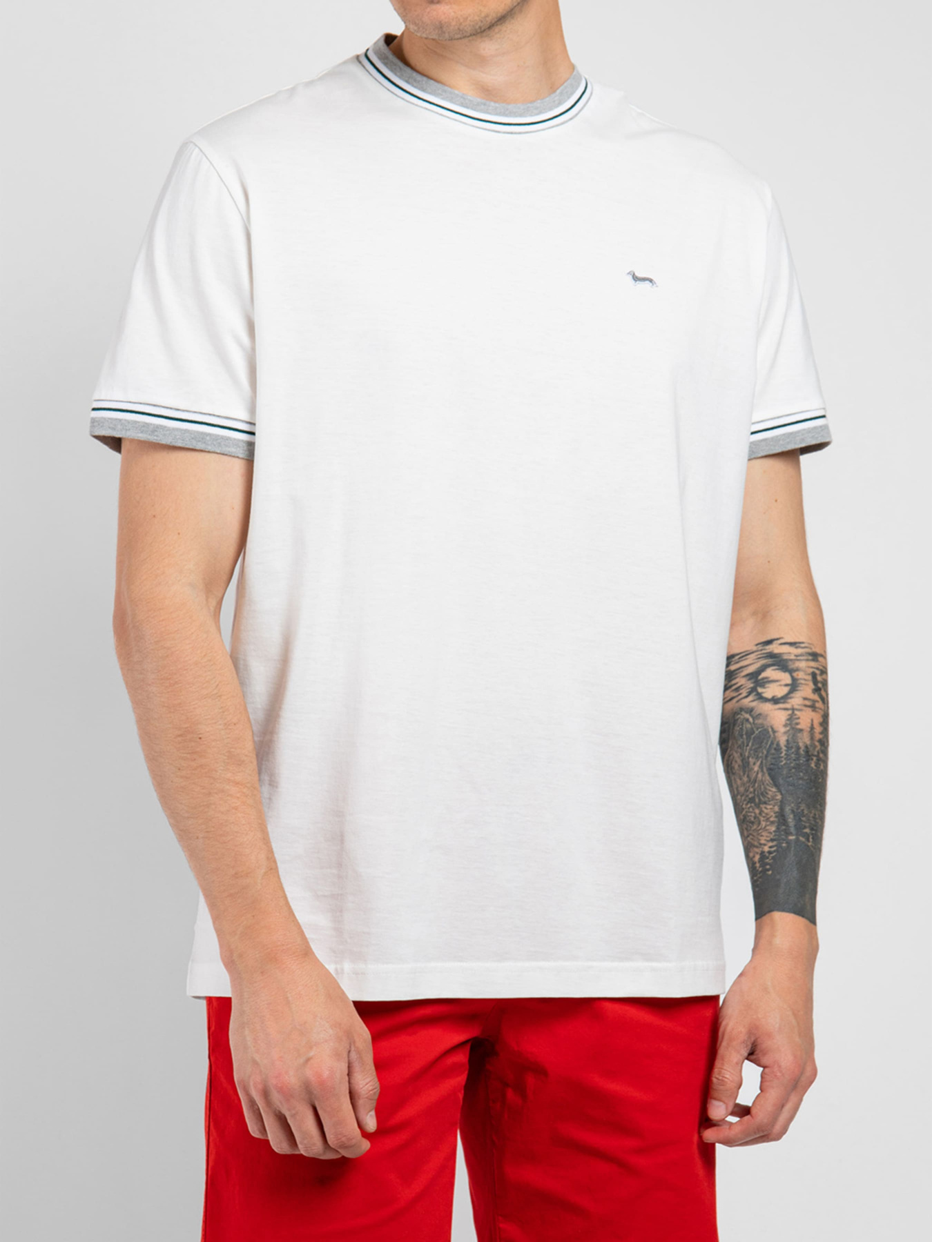 Футболка Harmont&Blaine модель IRH161021152_106 Фото