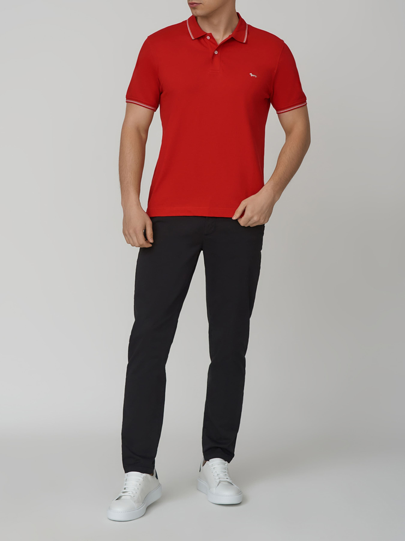 Чіноси Fred Mello модель FM22S03PU_0103 Фото